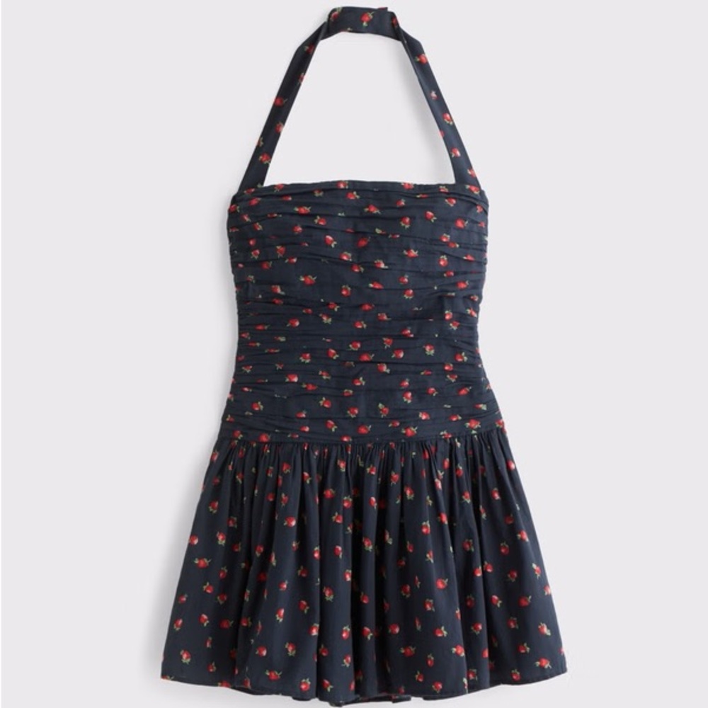 NWT The A&F Emerson Drop-Waist Mini Dress